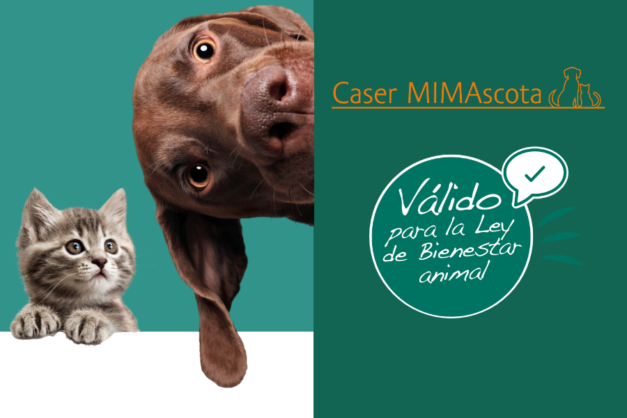 Caser MIMAscota