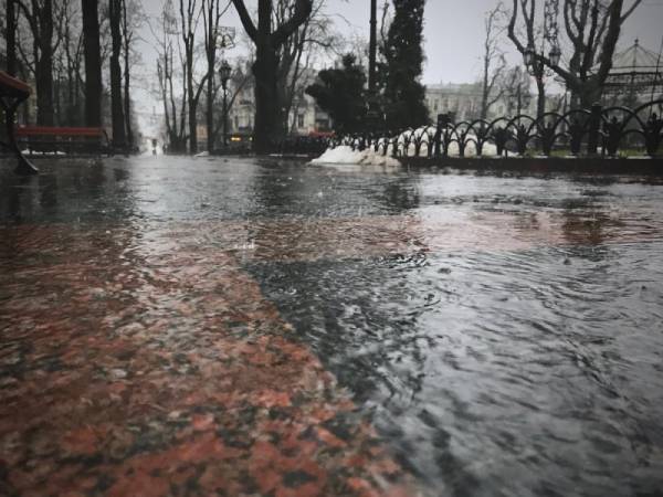 Rain